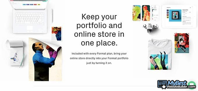 Ulasan Format Website:portfolio dan toko online.